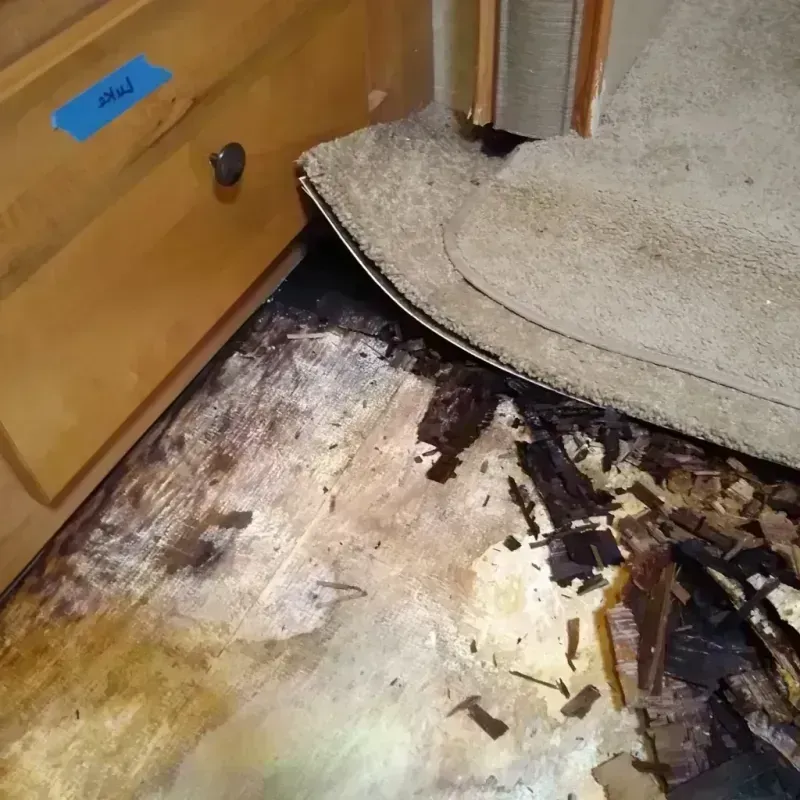 Wood Floor Water Damage in Calumet City, IL